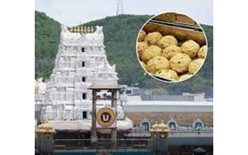 तिरुपति घी मिलावट मामले में बड़ा एक्शन, टीटीडी ईओ अनिल सिंघल का तबादला…