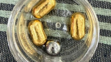 अबूधाबी से पेट में लाया 135 ग्राम सोना, अहमदाबाद एयरपोर्ट पर कस्टम विभाग ने पकड़ा; पोटी से निकला 3 कैप्सूल…