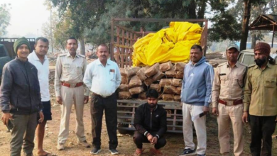 रायपुर : अवैध वनोपज परिवहन पर वन विभाग की कार्रवाई…