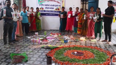 रायपुर : विशेष लेख : रंगों से बदलते जीवन के रंग…