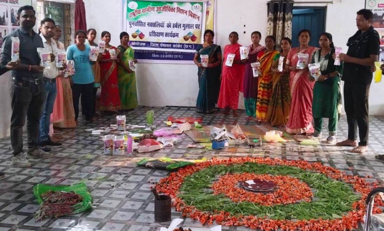 रायपुर : विशेष लेख : रंगों से बदलते जीवन के रंग…