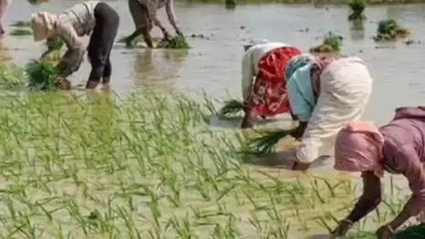 दुर्ग के 1,06,830 किसानों के खातों में 407 करोड़ रुपये की आदान सहायता राशि ट्रांसफर की जाएगी। मुख्यमंत्री विष्णु देव साय यह राशि सीधे किसानों के बैंक खातों में जारी करेंगे… दुर्ग के 1,06,830 किसानों के खातों में 407 करोड़ रुपये की आदान सहायता राशि ट्रांसफर की जाएगी। मुख्यमंत्री विष्णु देव साय यह राशि सीधे किसानों के बैंक खातों में जारी करेंगे…