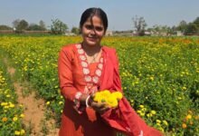 रायपुर : बिहान योजना से खिला रत्ना का भविष्य- फूलों की खेती से बनीं सफल उद्यमी…