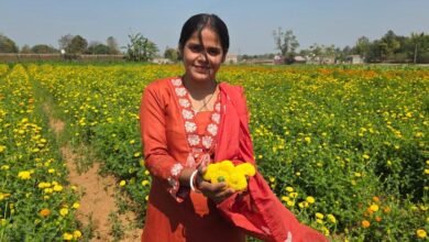 रायपुर : बिहान योजना से खिला रत्ना का भविष्य- फूलों की खेती से बनीं सफल उद्यमी…