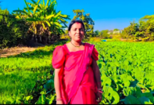 रायपुर : मजबूत इरादों और सरकारी योजनाओं के सहयोग से सपना हुआ साकार-चित्ररेखा…