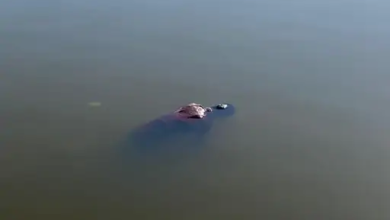 दुर्ग के पाटन तालाब में युवक का शव बरामद, होली मनाने ससुराल आया था; डूबने से मृत्यु की संभावना…