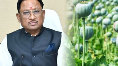 रायपुर : अफीम की अवैध खेती पर मुख्यमंत्री श्री विष्णु देव साय का कड़ा रुख…