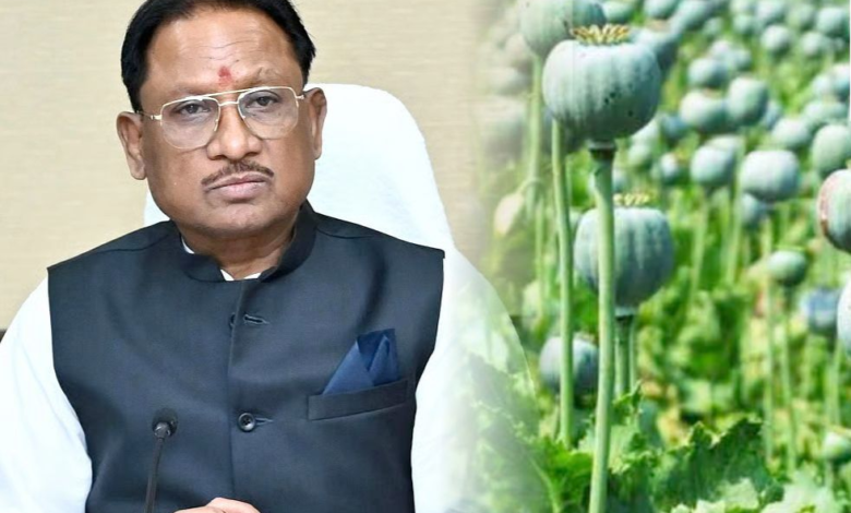 रायपुर : अफीम की अवैध खेती पर मुख्यमंत्री श्री विष्णु देव साय का कड़ा रुख…