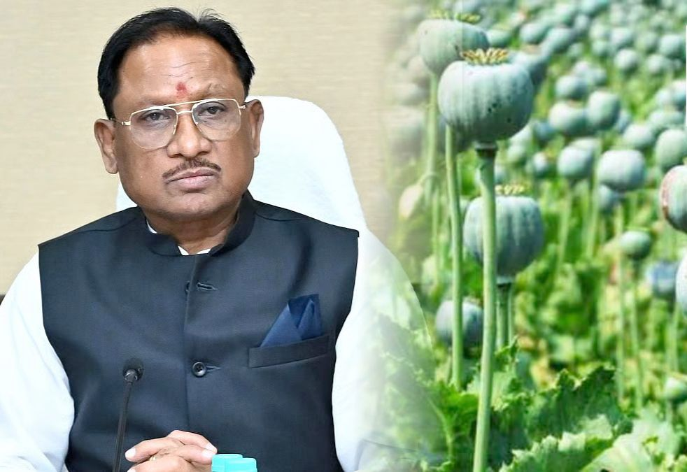 रायपुर : अफीम की अवैध खेती पर मुख्यमंत्री श्री विष्णु देव साय का कड़ा रुख… रायपुर : अफीम की अवैध खेती पर मुख्यमंत्री श्री विष्णु देव साय का कड़ा रुख…