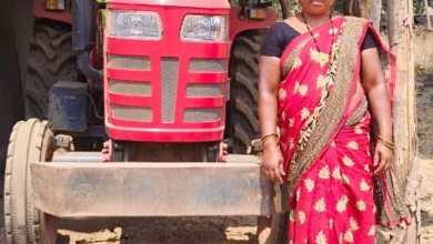 रायपुर : मजदूरी छोड़ राजकुमारी बनीं लखपति दीदी…