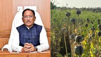 रायपुर : अफीम की खेती पर सख्त हुए मुख्यमंत्री श्री विष्णु देव साय…