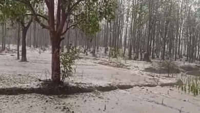 छत्तीसगढ़ में मौसम का कहर: कोंडागांव में बर्फ से ढका नजारा, जशपुर में बिजली गिरने से मजदूर की मौत, तापमान गिरकर 5 डिग्री तक पहुँचा…