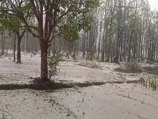 छत्तीसगढ़ में मौसम का कहर: कोंडागांव में बर्फ से ढका नजारा, जशपुर में बिजली गिरने से मजदूर की मौत, तापमान गिरकर 5 डिग्री तक पहुँचा…