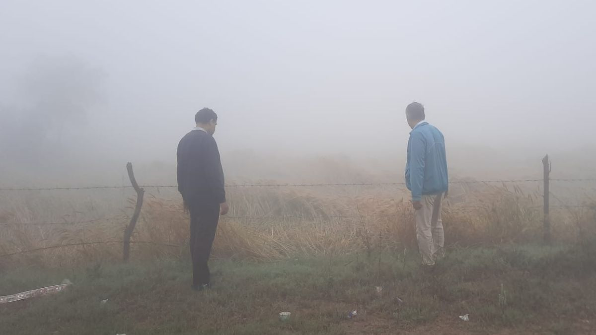 दिल्ली-एनसीआर में साफ हुआ मौसम, यूपी-बिहार में आंधी-बारिश से 8 की मौत; फसलों को भारी नुकसान…