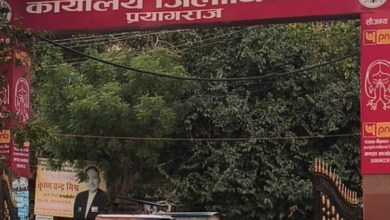 प्रयागराज की 10 बड़ी खबरें: 1365 शिकायतें, स्कूलों पर जाम को लेकर सख्ती, बारिश से धान की फसल बर्बाद प्रयागराज की 10 बड़ी खबरें: 1365 शिकायतें, स्कूलों पर जाम को लेकर सख्ती, बारिश से धान की फसल बर्बाद