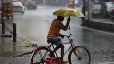 🌧️ UP Weather News